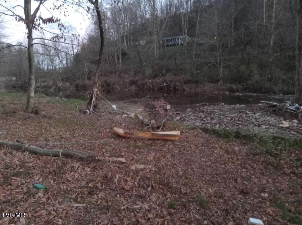 7735 Highway 19-e, Roan Mountain, Tennessee image 31