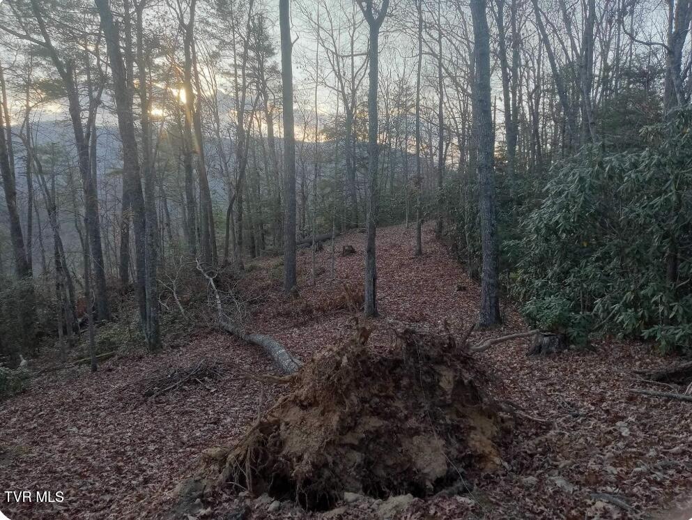 7735 Highway 19-e, Roan Mountain, Tennessee image 25