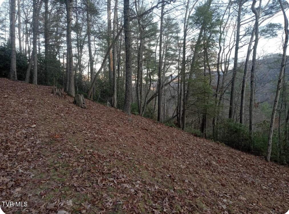 7735 Highway 19-e, Roan Mountain, Tennessee image 23