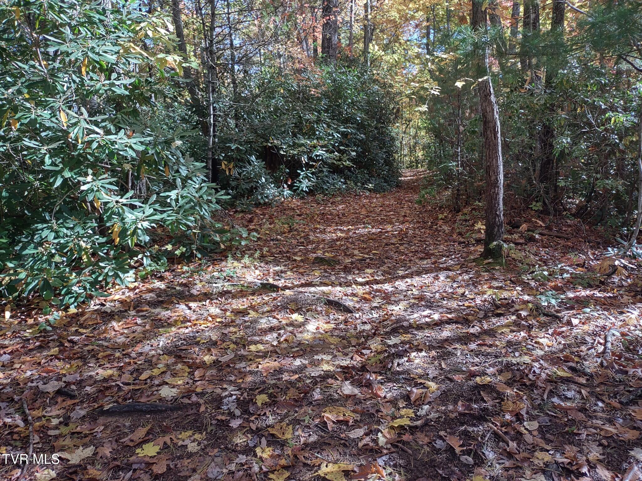 7735 Highway 19-e, Roan Mountain, Tennessee image 9