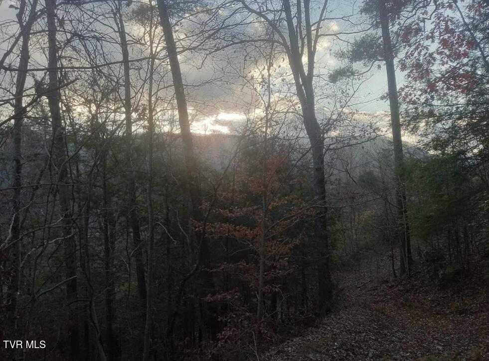 7735 Highway 19-e, Roan Mountain, Tennessee image 21