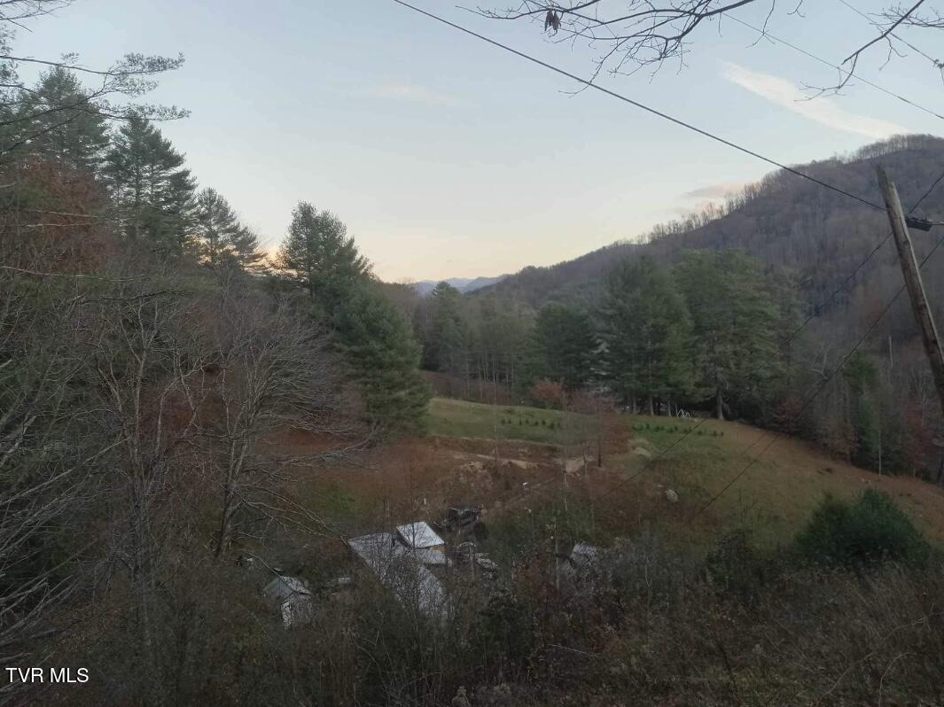 7735 Highway 19-e, Roan Mountain, Tennessee image 28