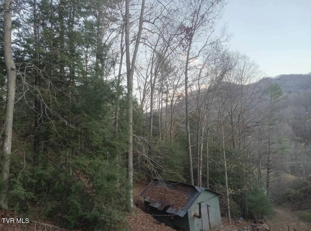 7735 Highway 19-e, Roan Mountain, Tennessee image 26