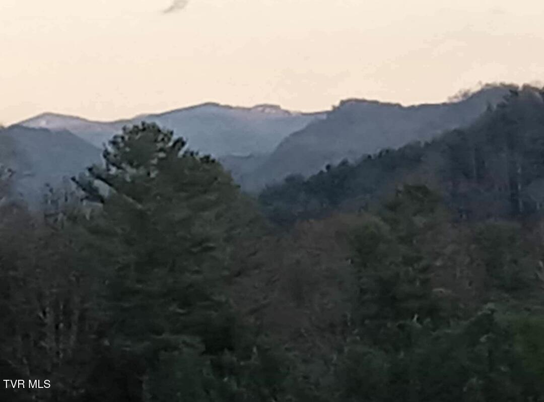 7735 Highway 19-e, Roan Mountain, Tennessee image 27