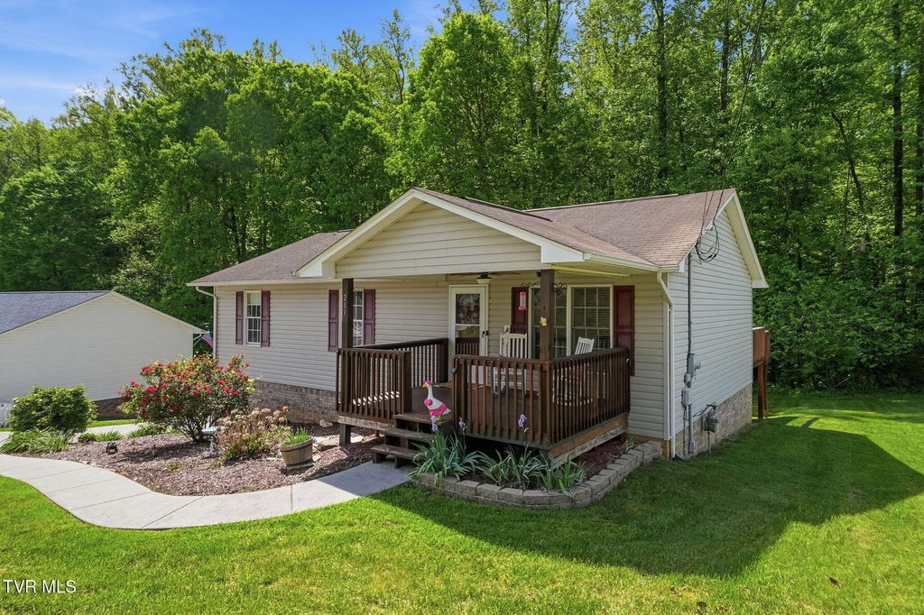 Photo of 203 Valley Crest Drive, Mount Carmel, TN 37645 (MLS # 9994578)