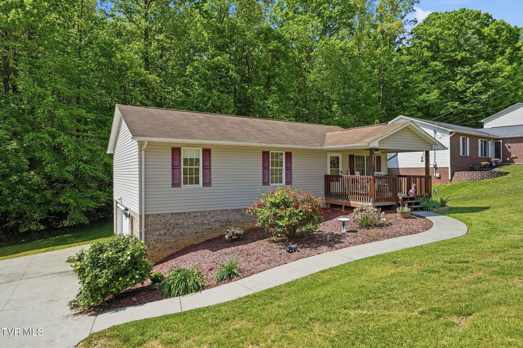 Photo of 203 Valley Crest Drive, Mount Carmel, TN 37645 (MLS # 9994578)