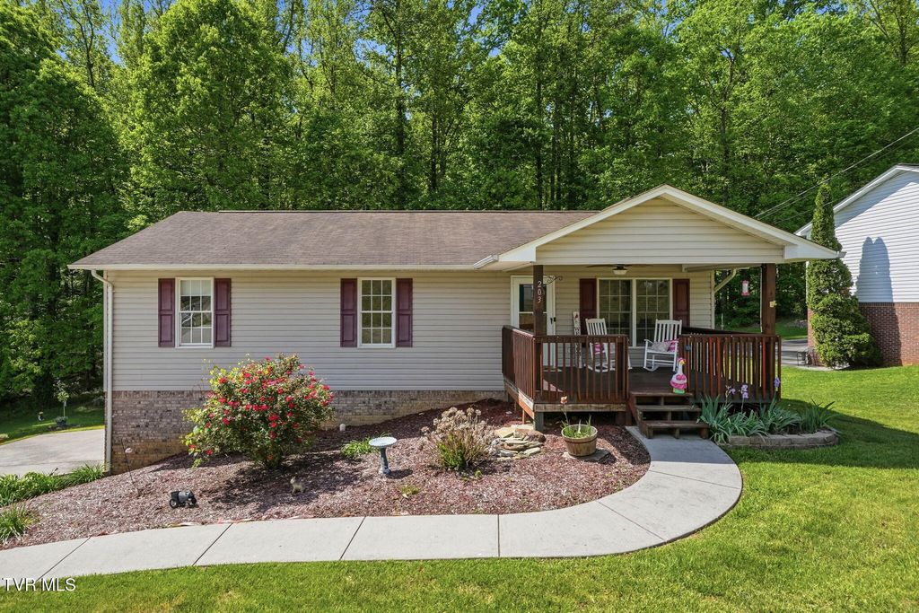 Photo of 203 Valley Crest Drive, Mount Carmel, TN 37645 (MLS # 9994578)