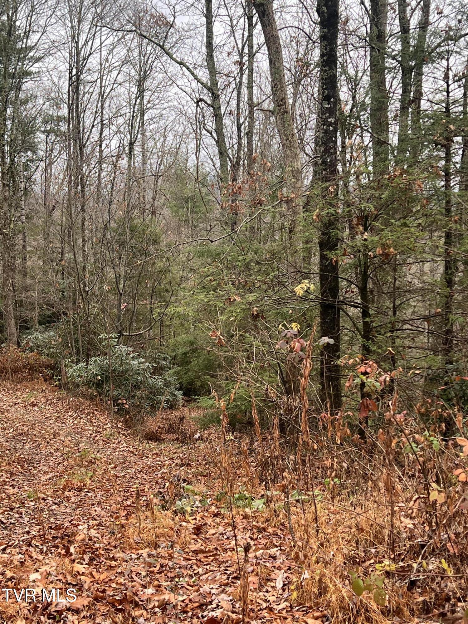 162 Murph Potter Lane, Roan Mountain, Tennessee image 12