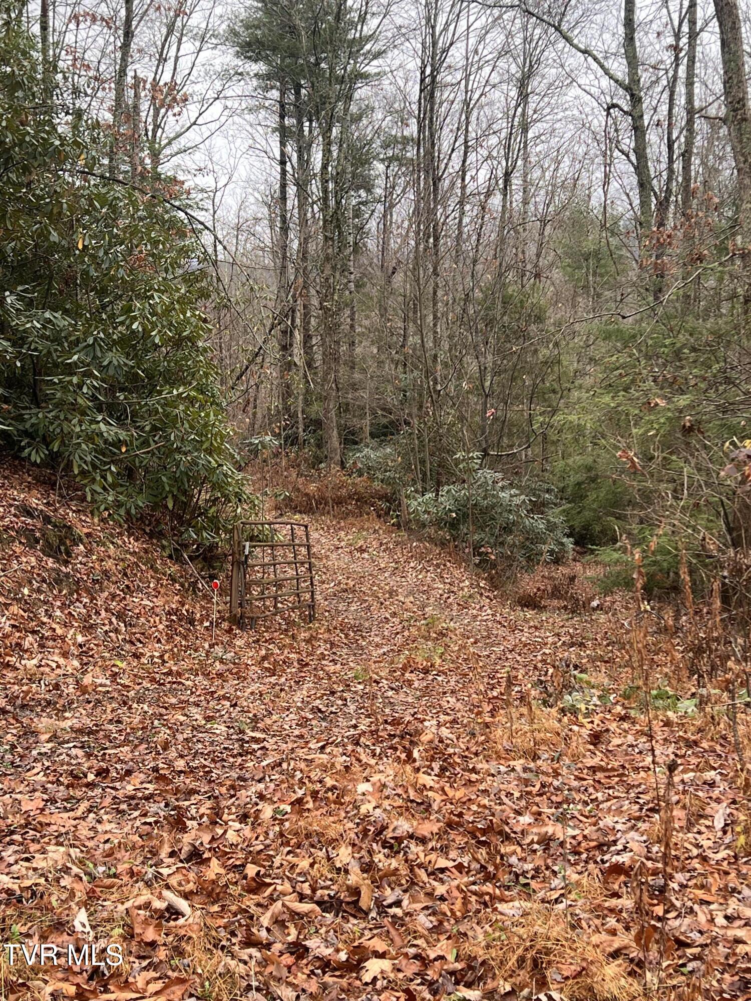 162 Murph Potter Lane, Roan Mountain, Tennessee image 2