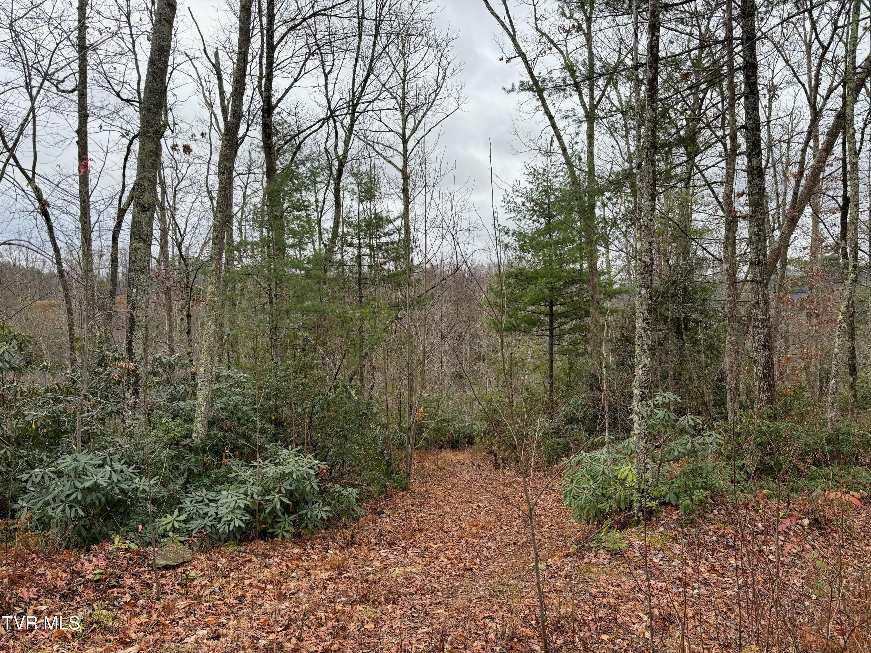 162 Murph Potter Lane, Roan Mountain, Tennessee image 8