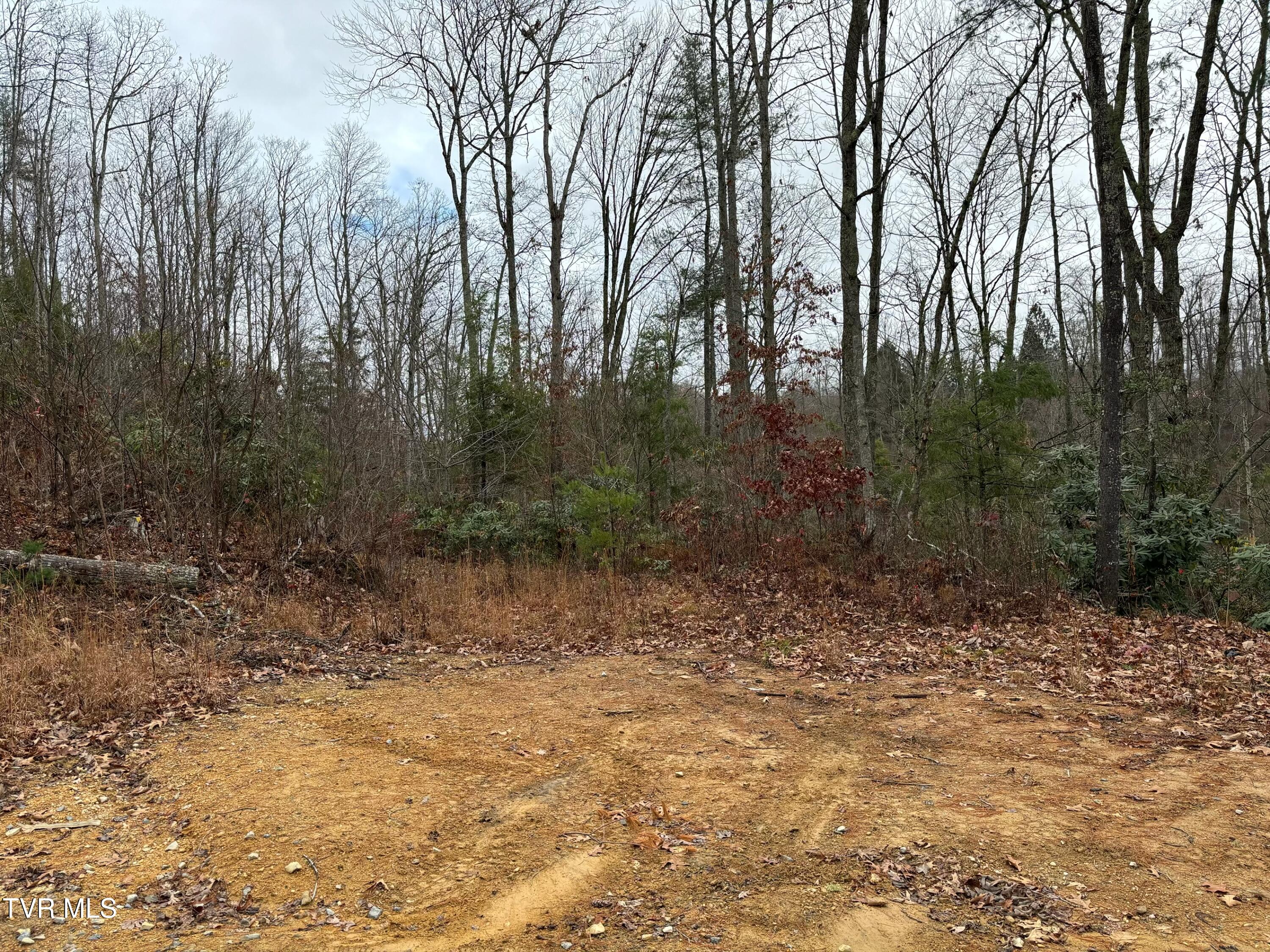 162 Murph Potter Lane, Roan Mountain, Tennessee image 5