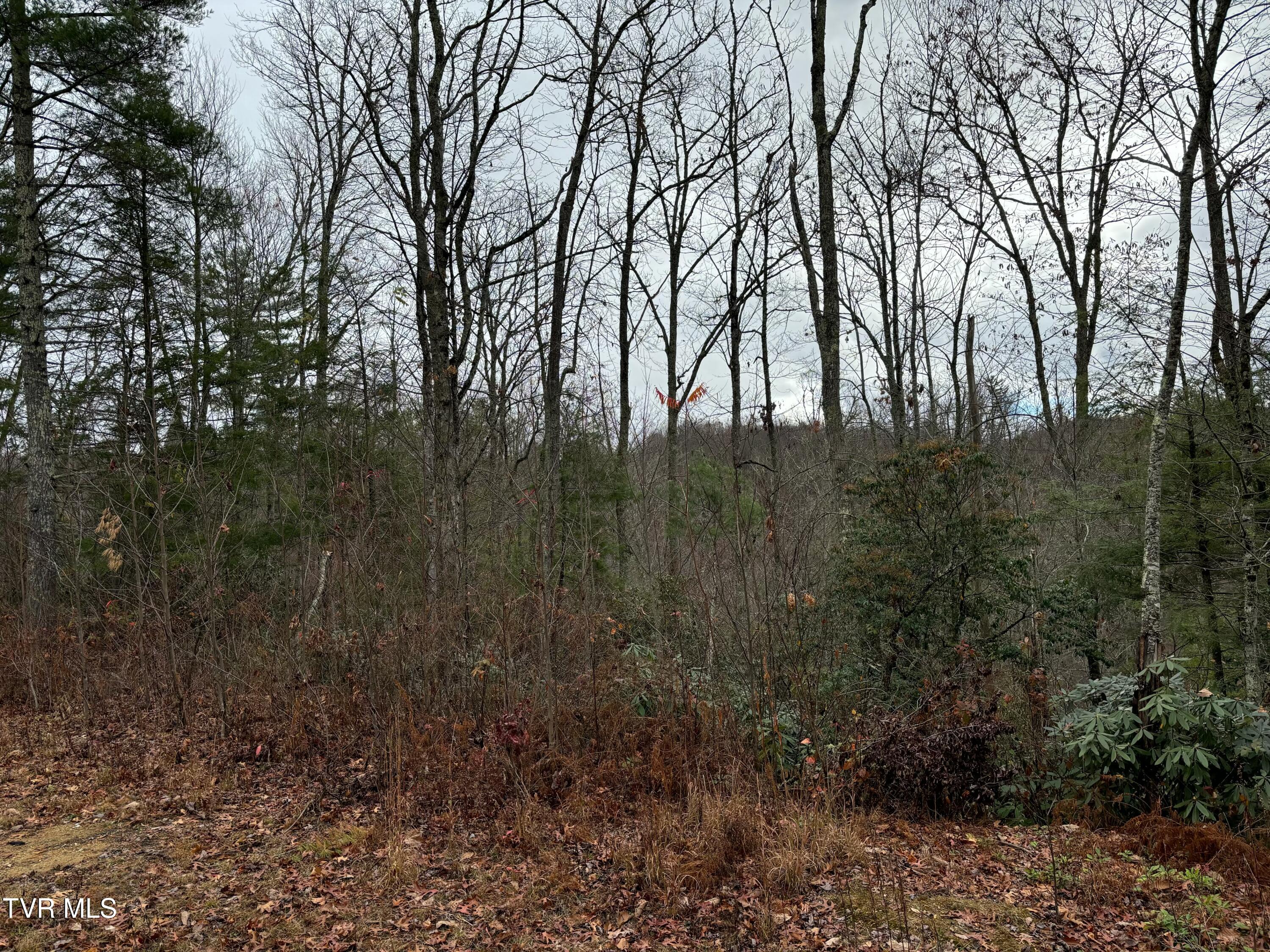 162 Murph Potter Lane, Roan Mountain, Tennessee image 9