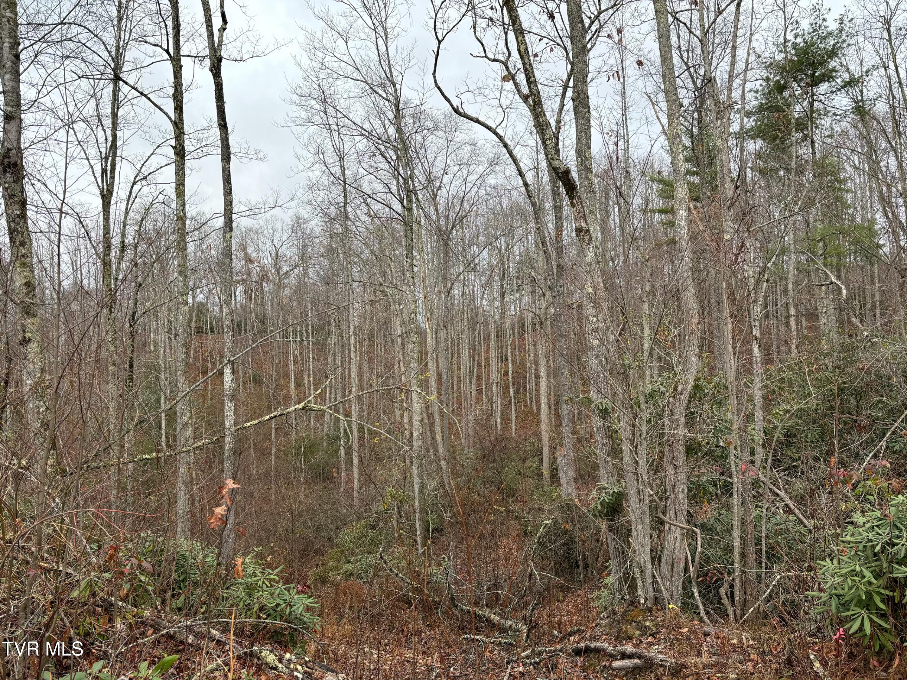 162 Murph Potter Lane, Roan Mountain, Tennessee image 6