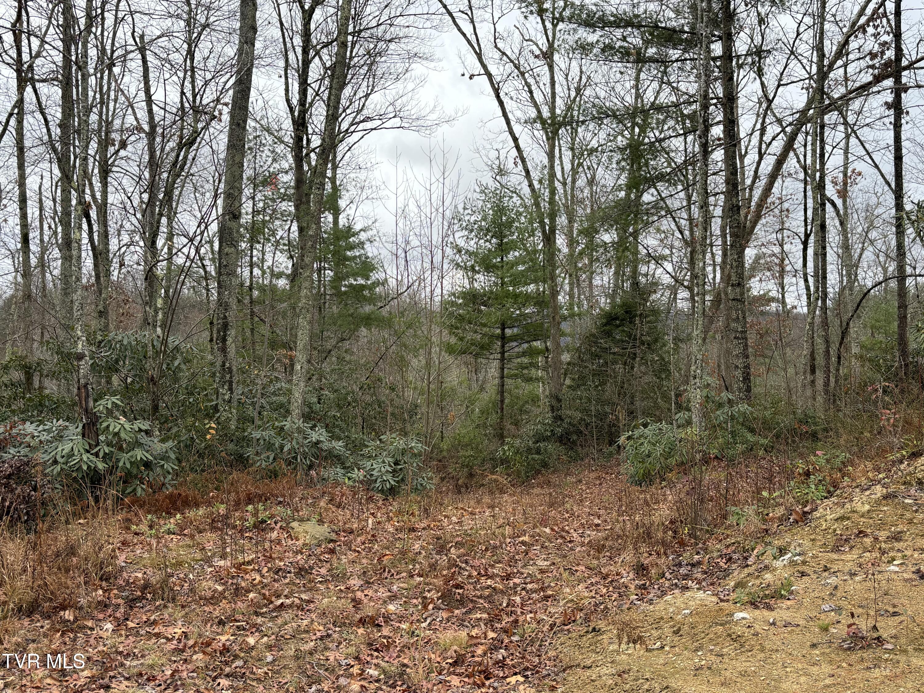 162 Murph Potter Lane, Roan Mountain, Tennessee image 10
