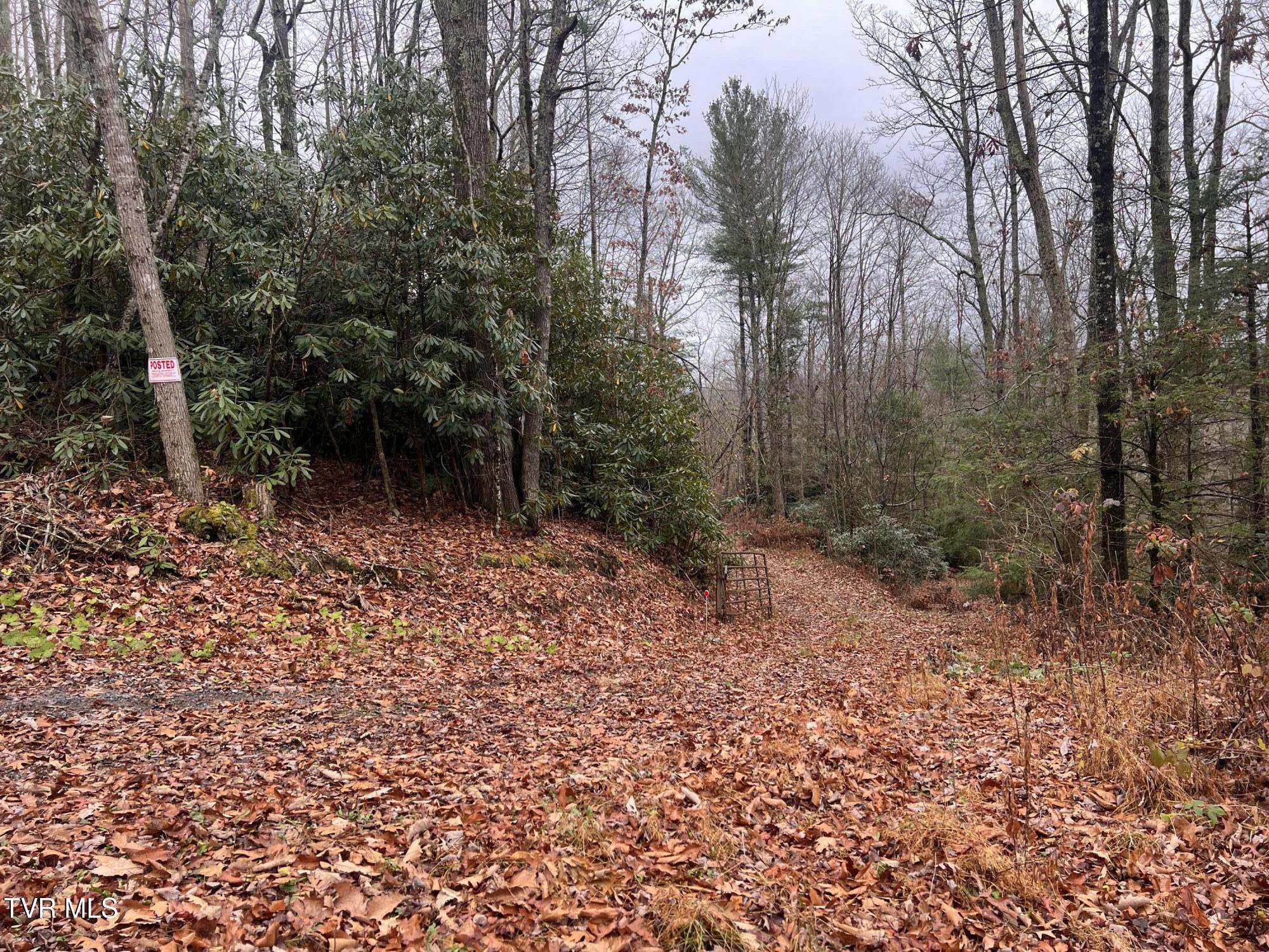 162 Murph Potter Lane, Roan Mountain, Tennessee image 1