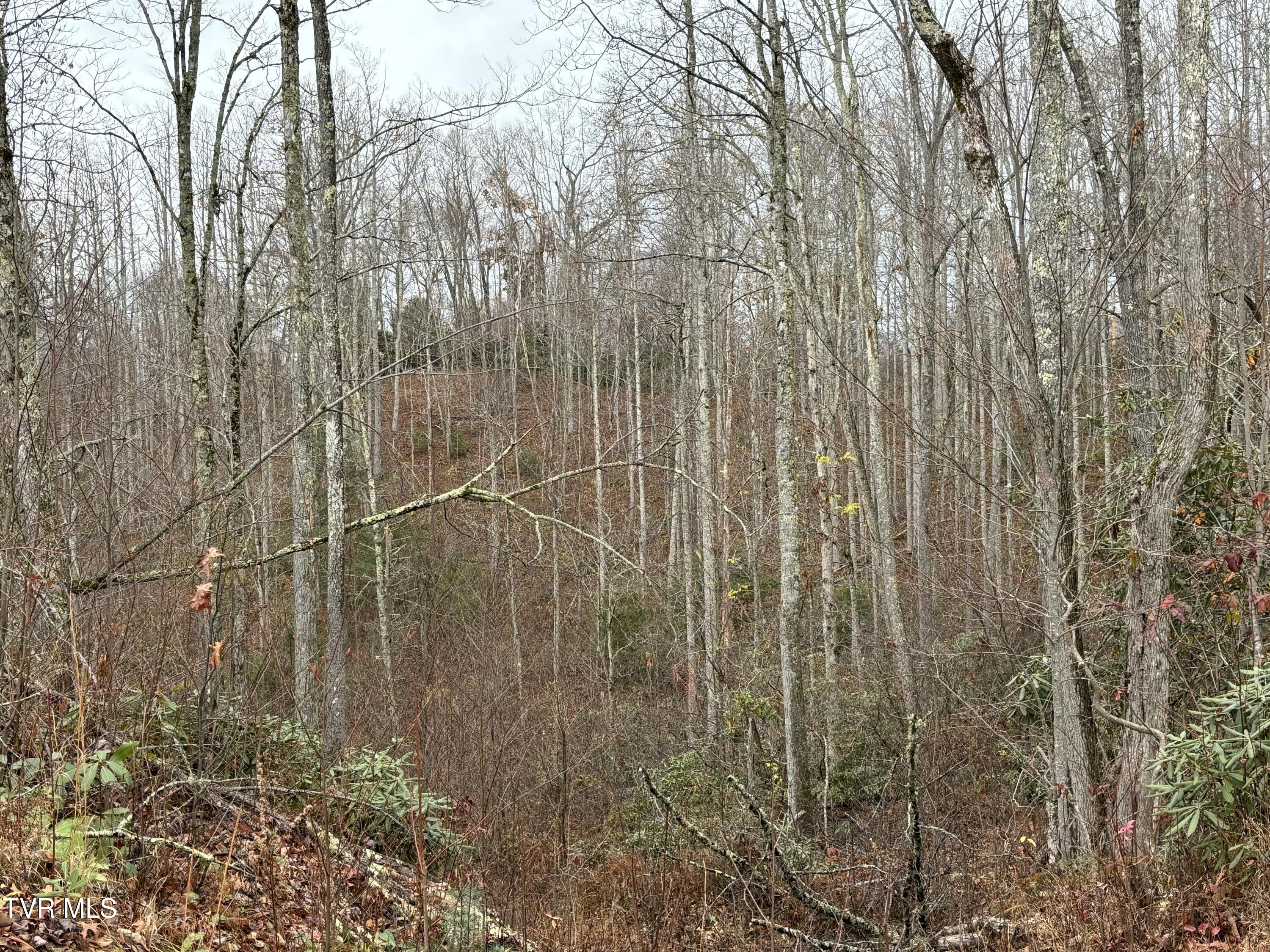 162 Murph Potter Lane, Roan Mountain, Tennessee image 11