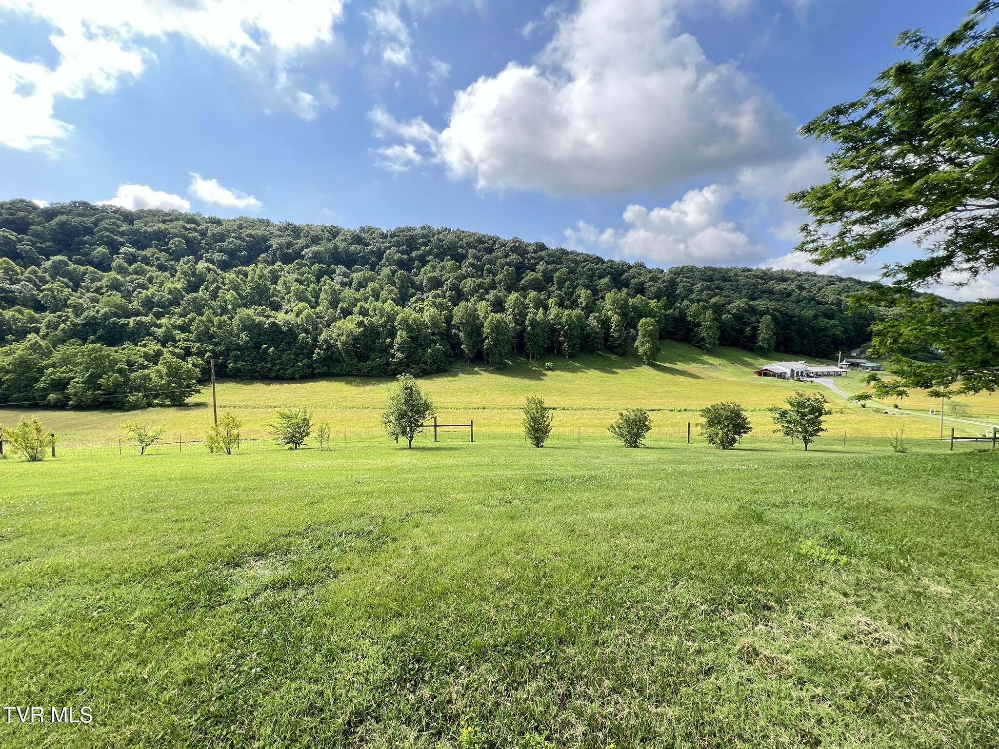 18525 Horton Highway, Fall Branch, Tennessee image 4