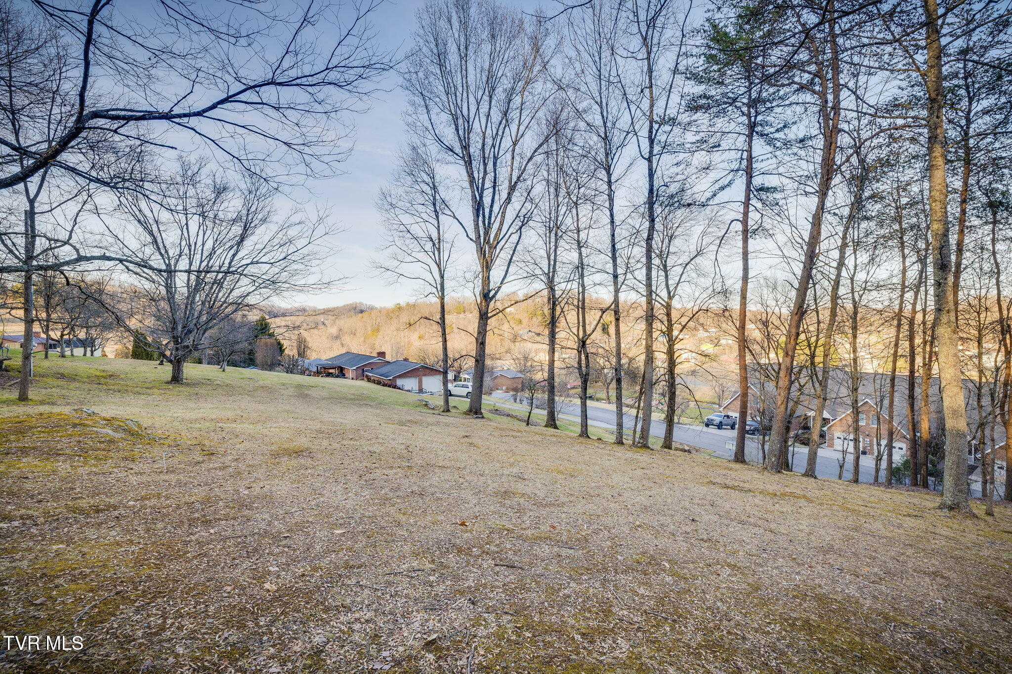Tbd Alexander Avenue, Church Hill, Tennessee image 1