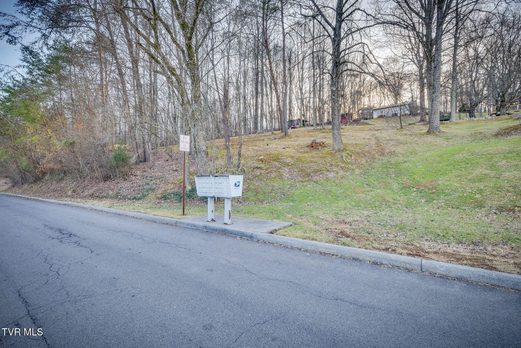 Photo of Tbd Alexander Avenue, Church Hill, TN 37642 (MLS # 9976206)