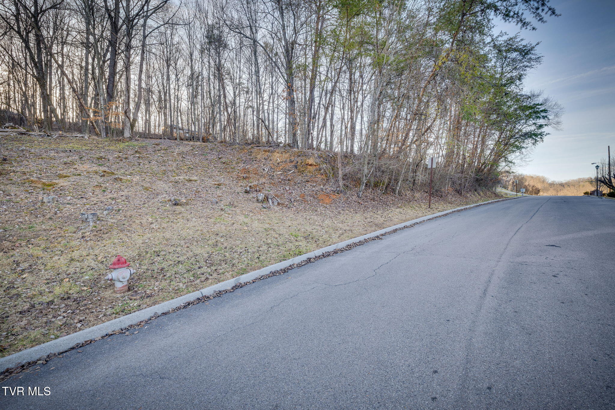 Tbd Alexander Avenue, Church Hill, Tennessee image 3