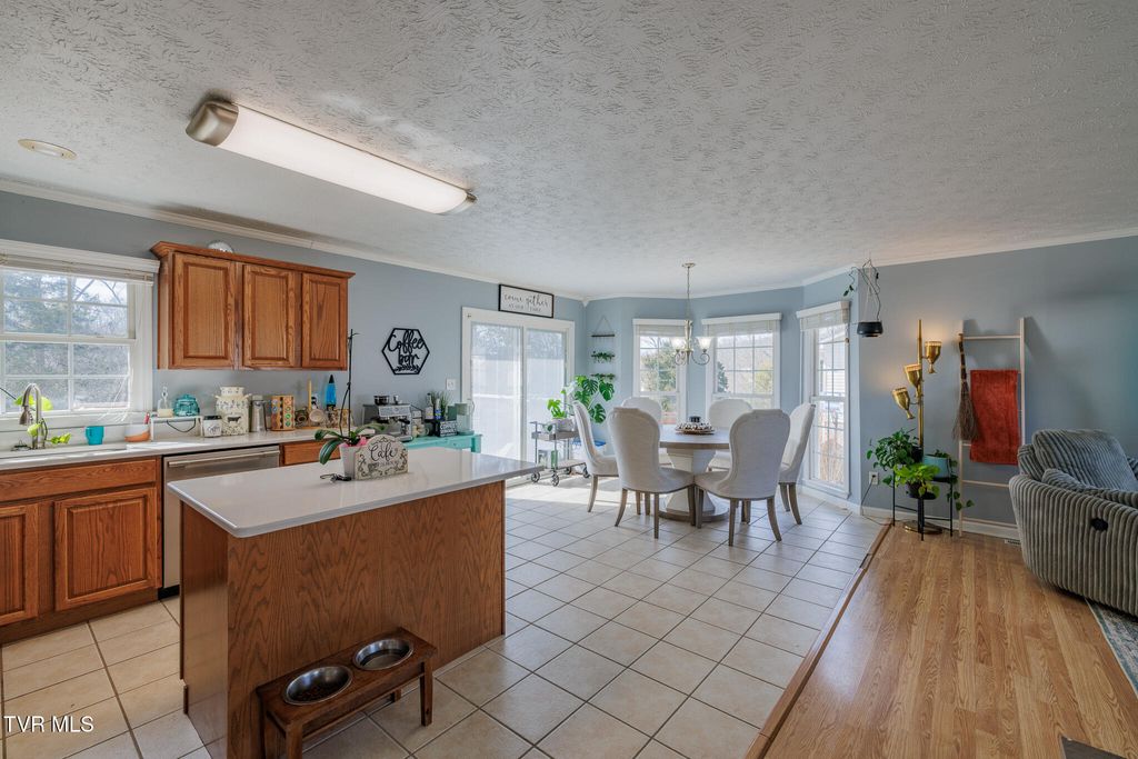 Photo of 149 Ashley Dr Dr, Mount Carmel, TN 37645 (MLS # 9991138)