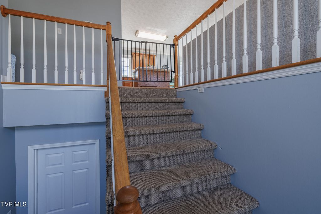 Photo of 149 Ashley Dr Dr, Mount Carmel, TN 37645 (MLS # 9991138)