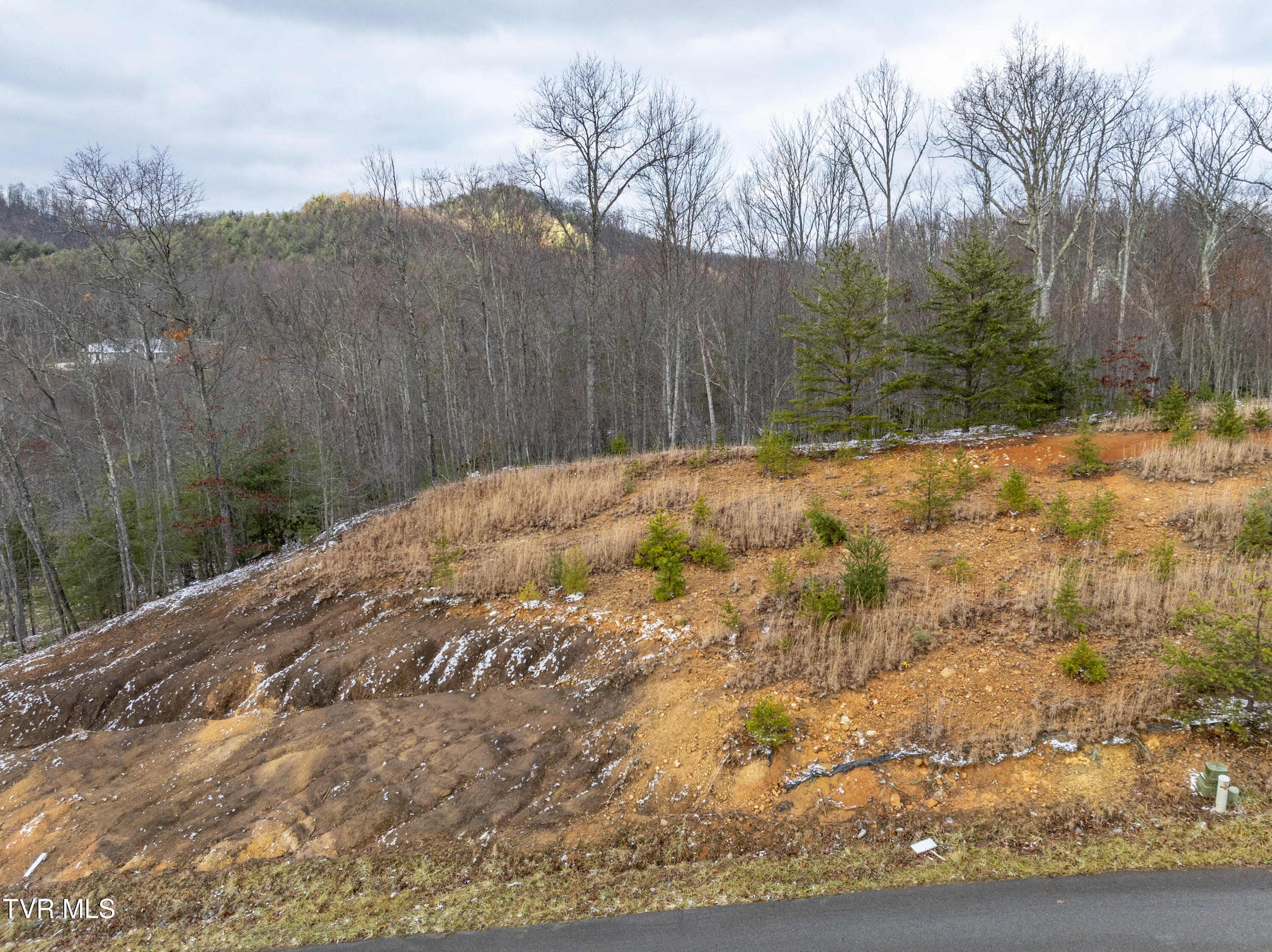 48 Homestead Drive, Unicoi, Tennessee image 3