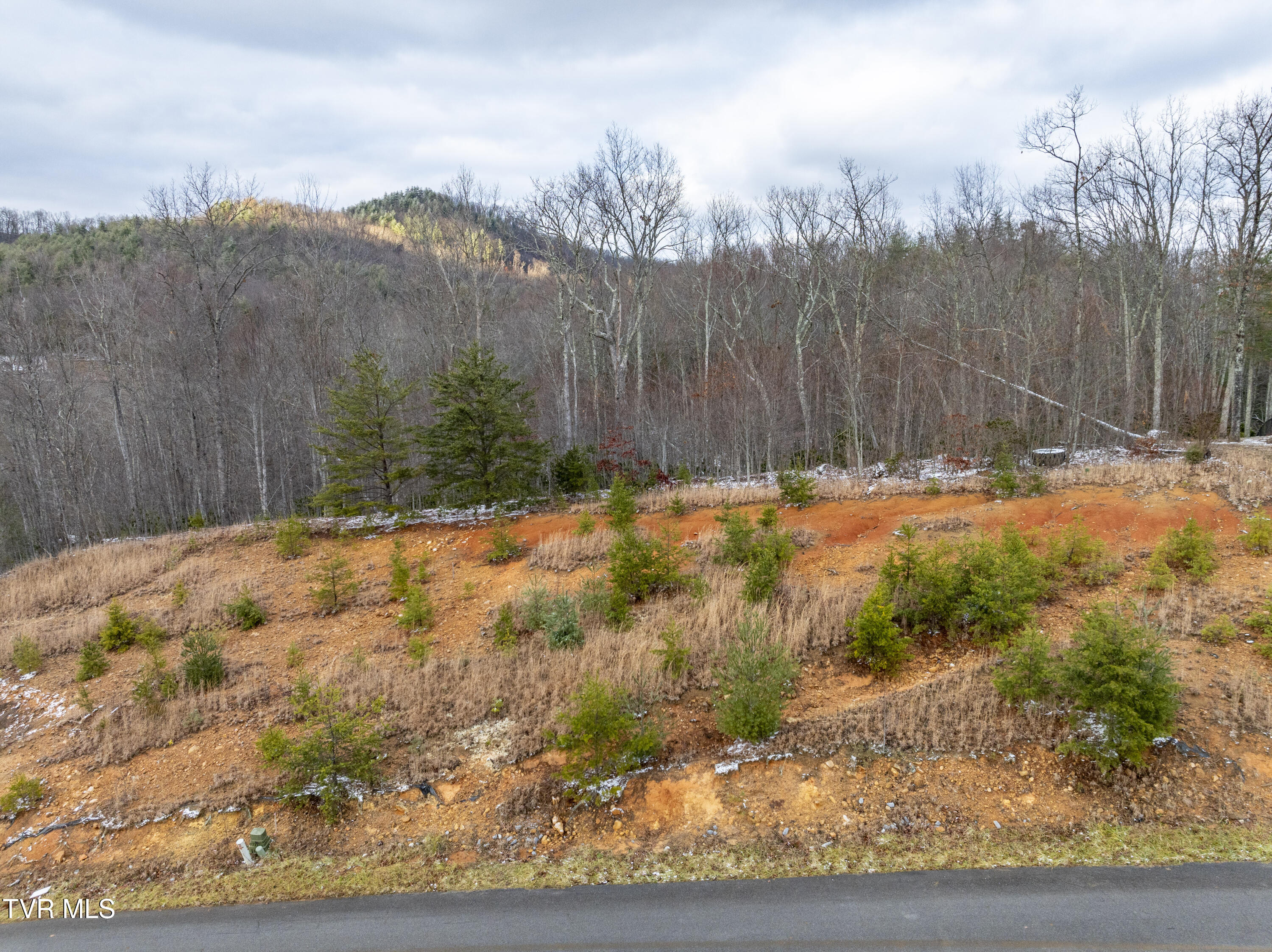 48 Homestead Drive, Unicoi, Tennessee image 2