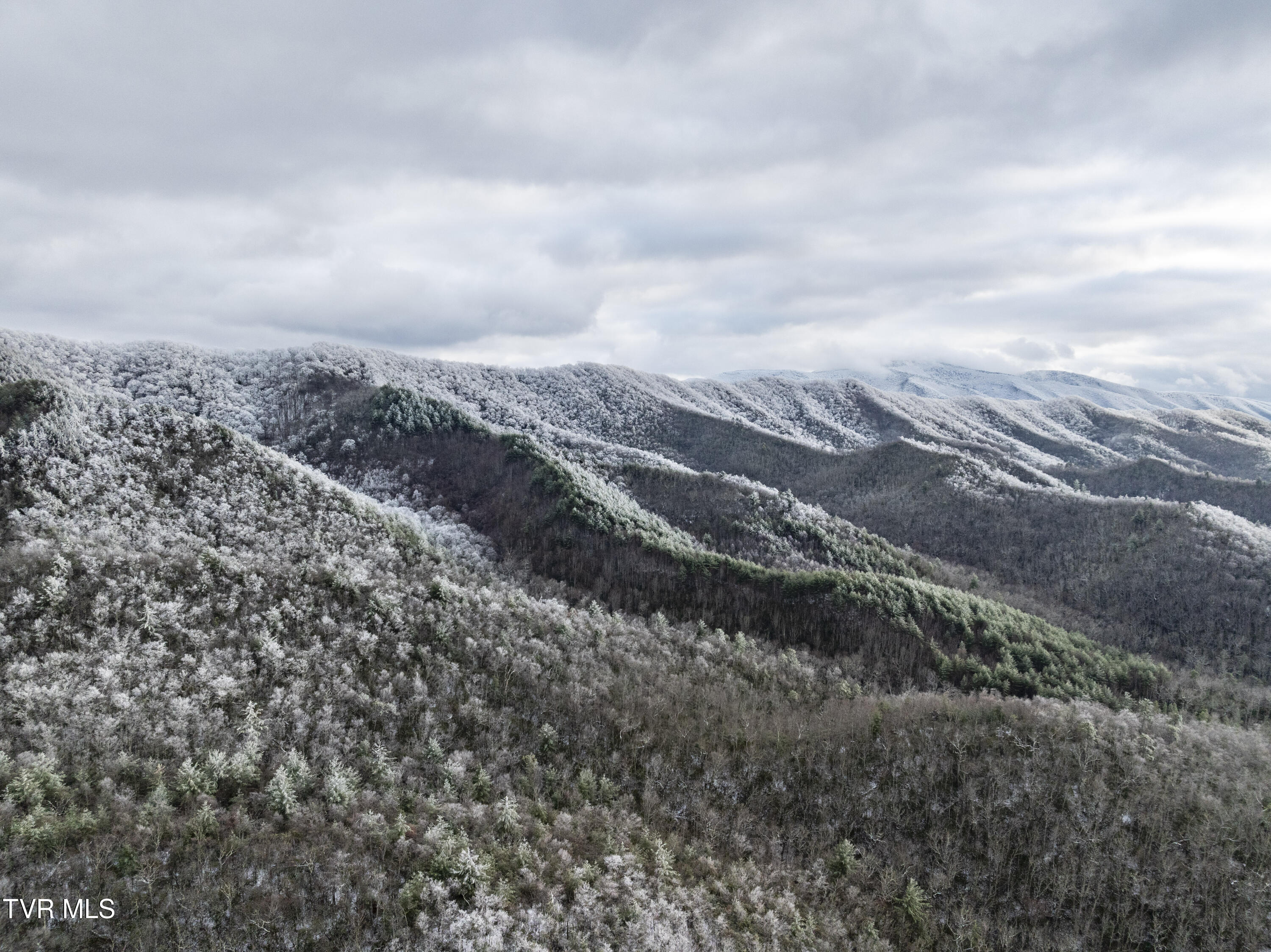 48 Homestead Drive, Unicoi, Tennessee image 22