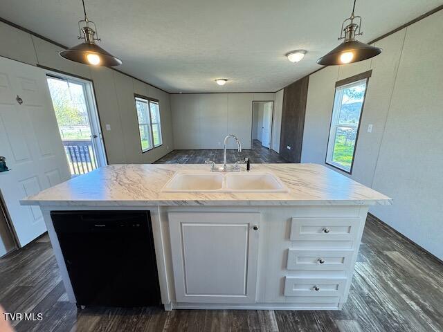 3685 Mt Carmel Road, Mosheim, Tennessee image 3