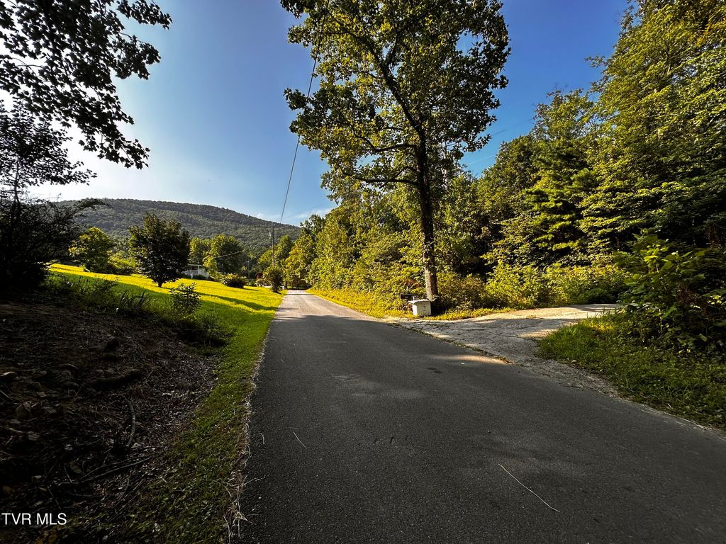 Photo of 8 Promiseland Way, Parrottsville, TN 37843 (MLS # 9993197)