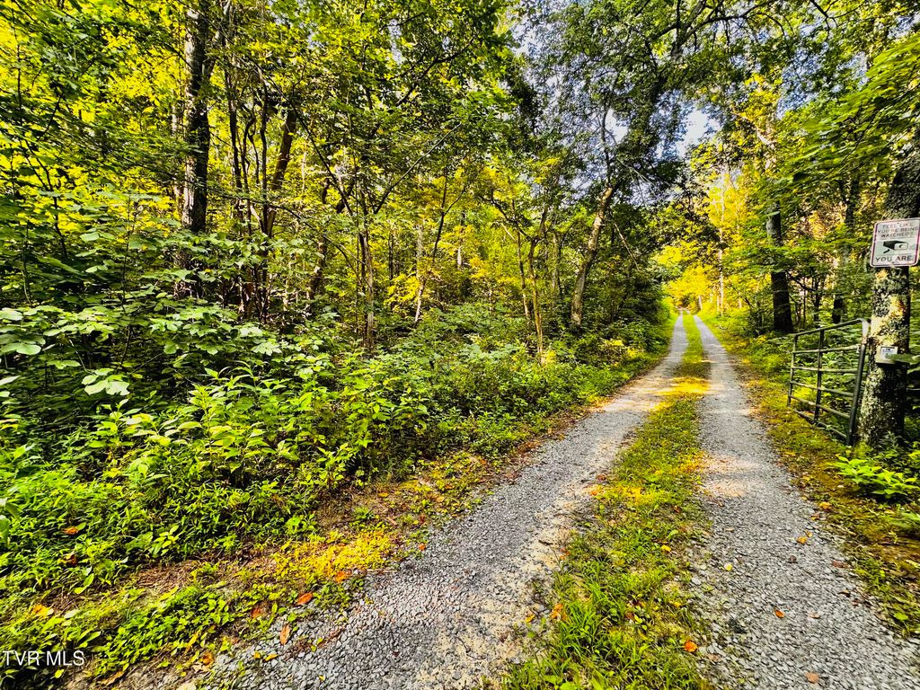 Photo of 8 Promiseland Way, Parrottsville, TN 37843 (MLS # 9993197)