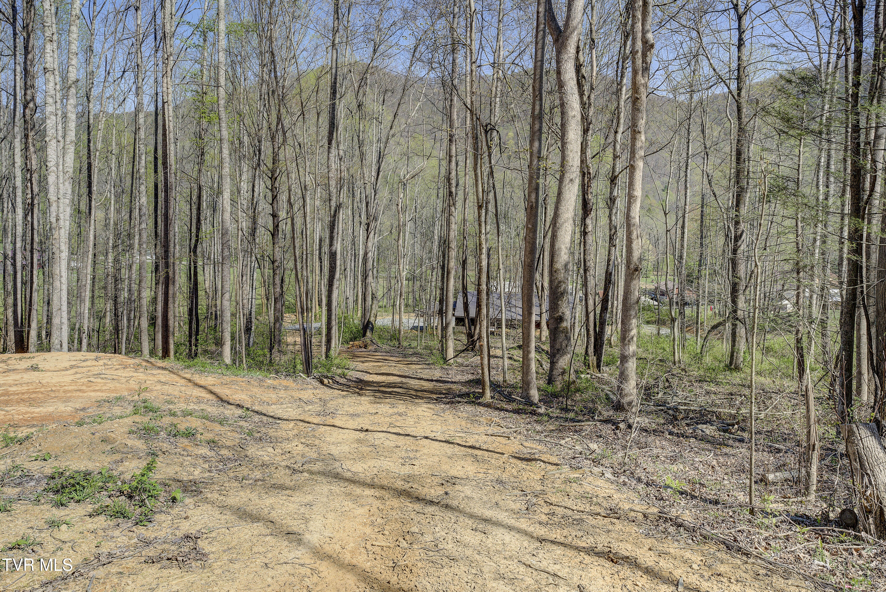 724 Dry Creek Road, Jonesborough, Tennessee image 44