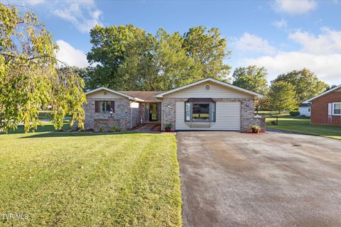 Homes For Sale - 876 Edgemont North Street<br/> Abingdon, VA 24210