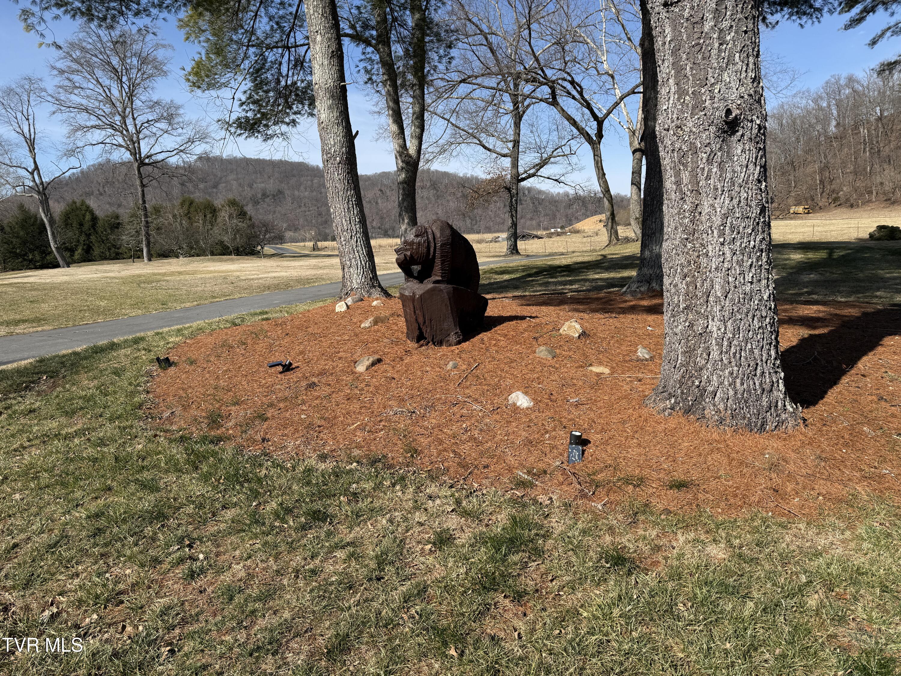 Elizabethton, Tennessee, 37643, United States, 5 Bedrooms Bedrooms, ,6 BathroomsBathrooms,Residential,Active,2019182