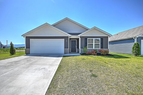 Photo of 197 Crawford CIR, Bristol, TN 37620 (MLS # 9995655)