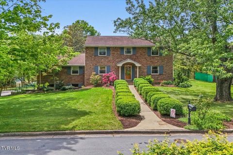 Photo of 1117 College Heights Drive, Johnson City, TN 37604 (MLS # 9995053)