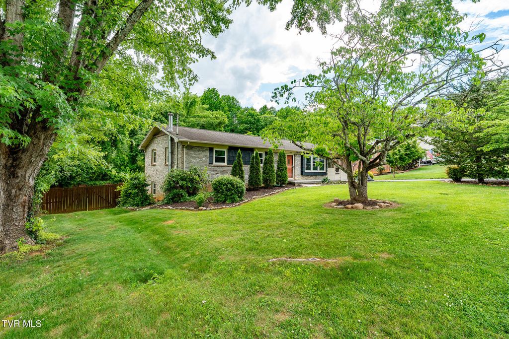 Photo of 1704 Scenic Drive, Johnson City, TN 37604 (MLS # 9996006)