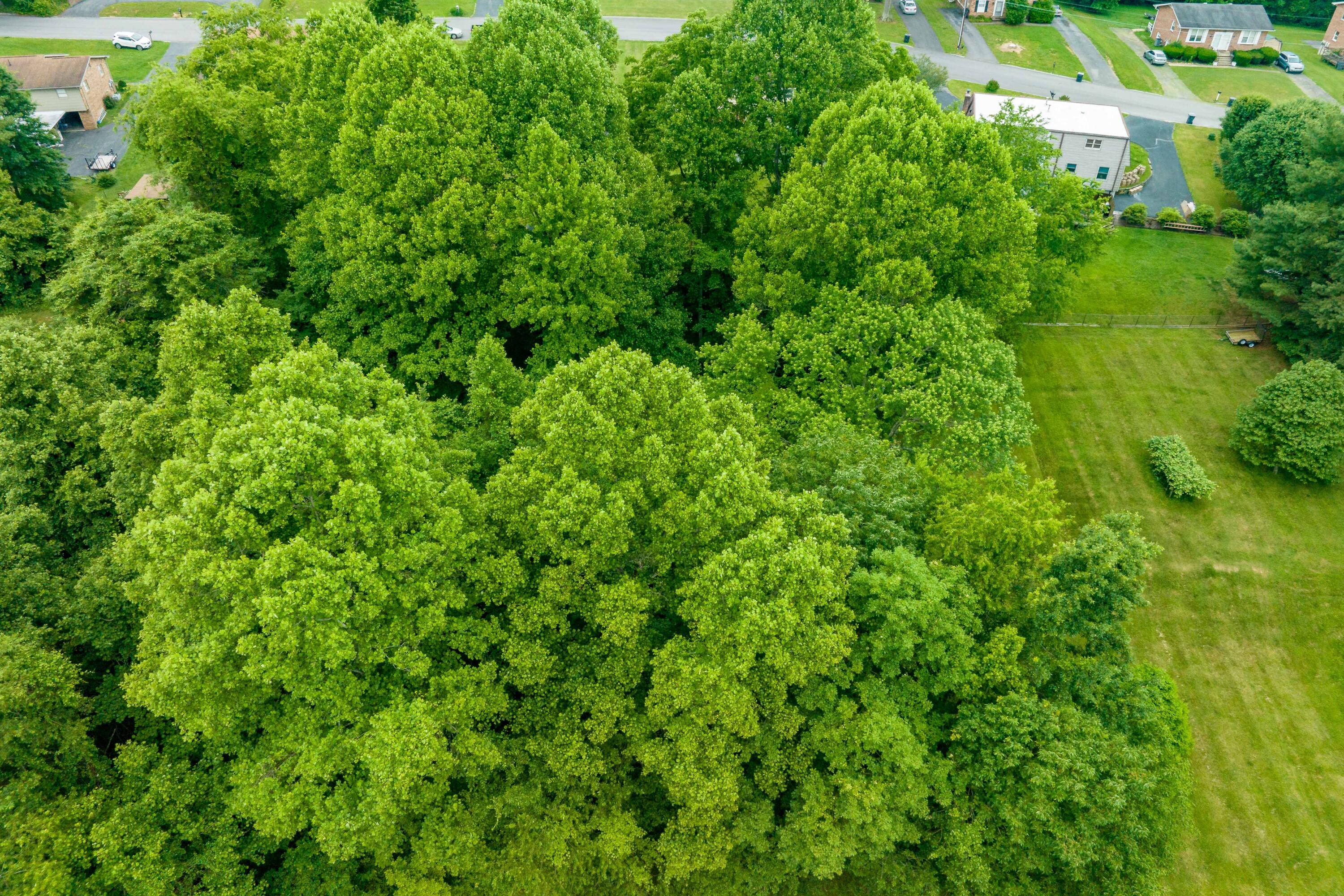 Tbd Edgefield Road, Bristol, Tennessee image 20