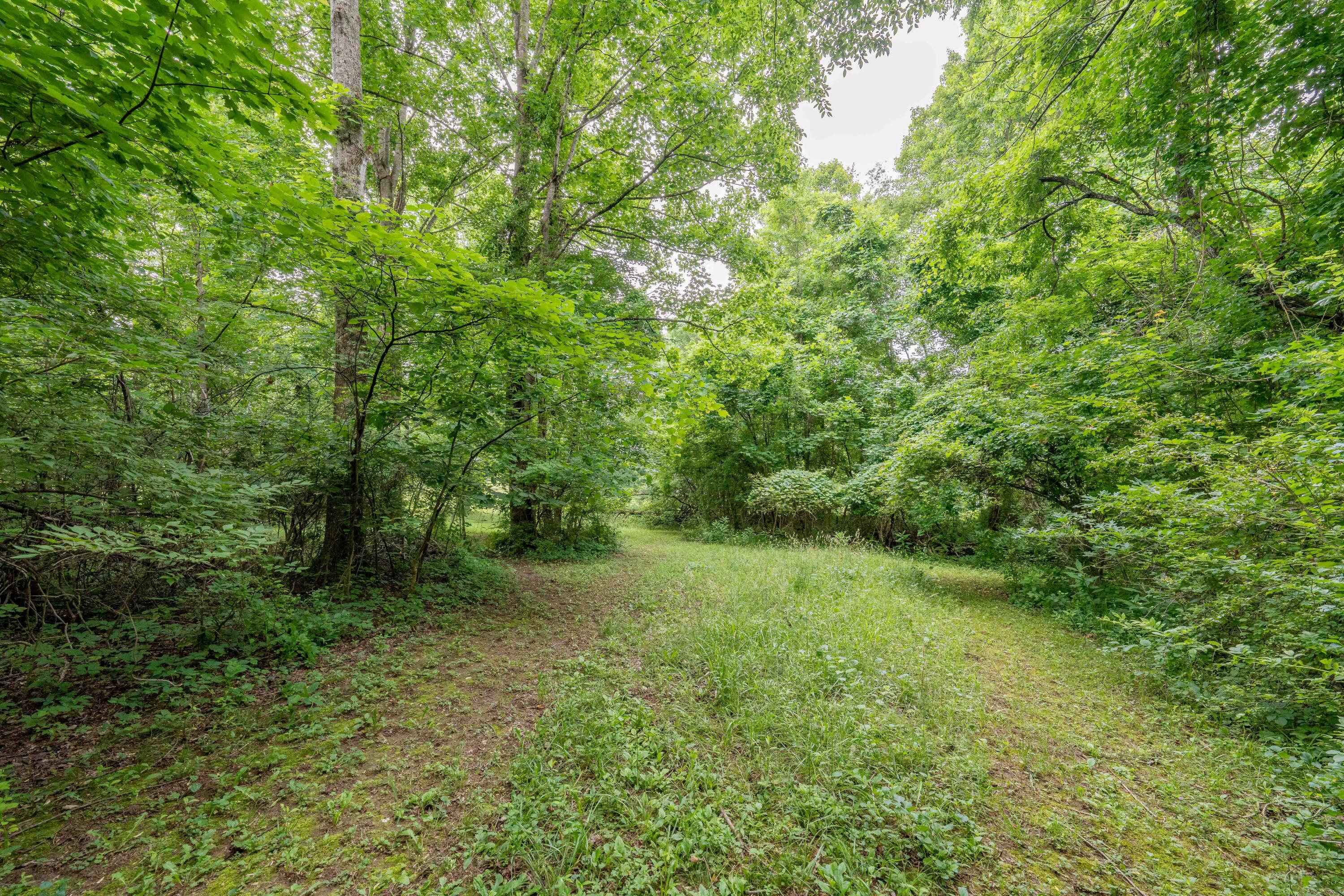 Tbd Edgefield Road, Bristol, Tennessee image 27