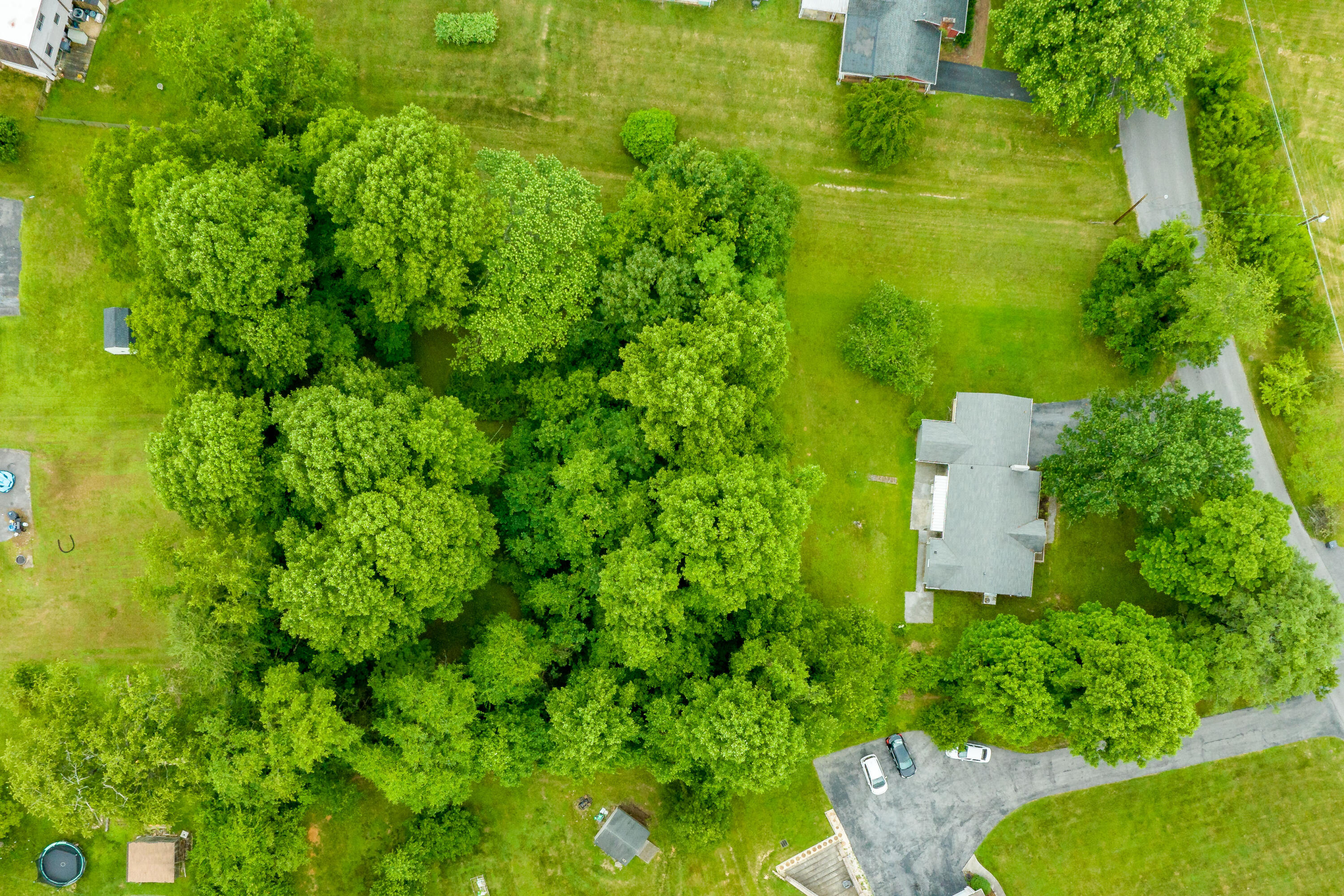 Tbd Edgefield Road, Bristol, Tennessee image 10