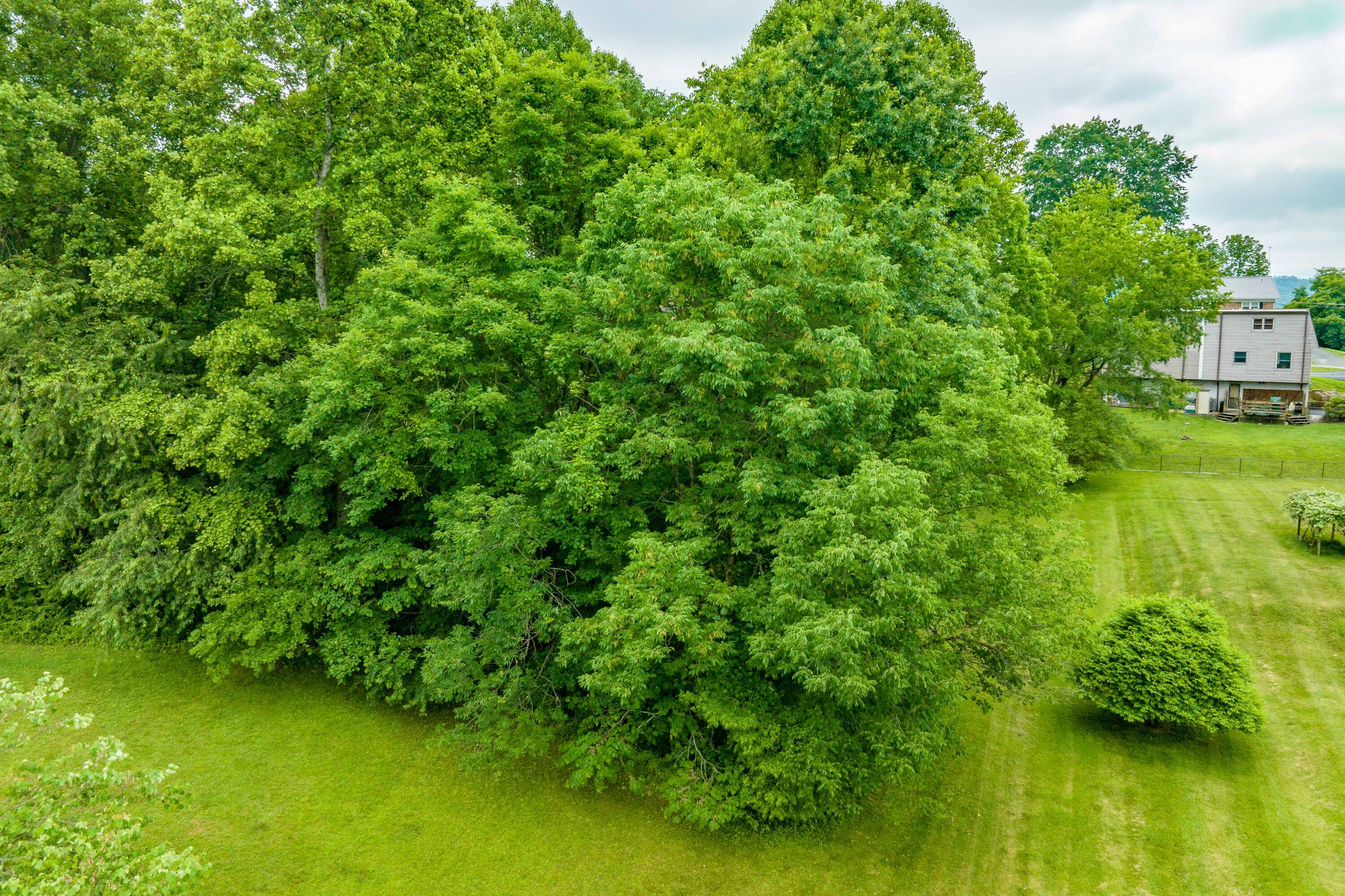 Tbd Edgefield Road, Bristol, Tennessee image 18