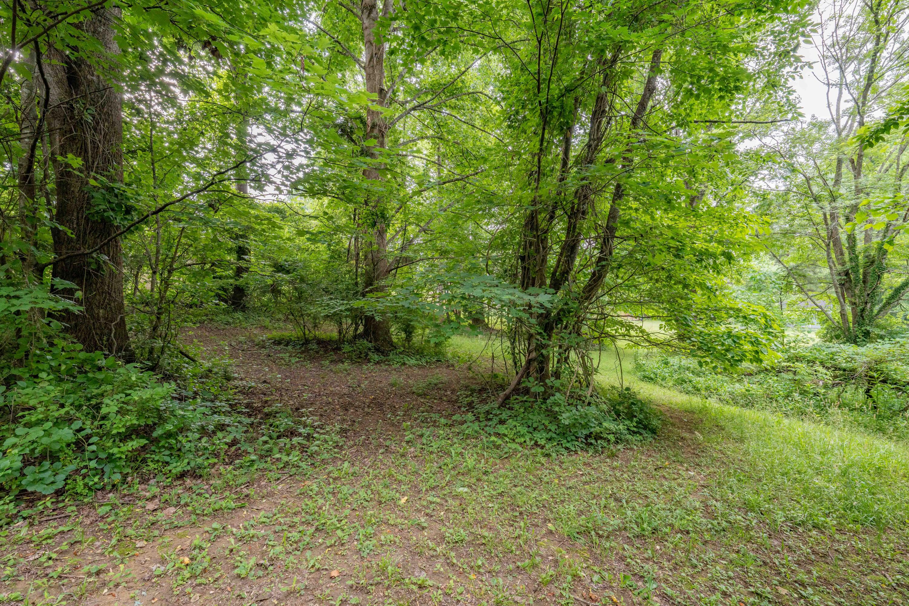 Tbd Edgefield Road, Bristol, Tennessee image 29