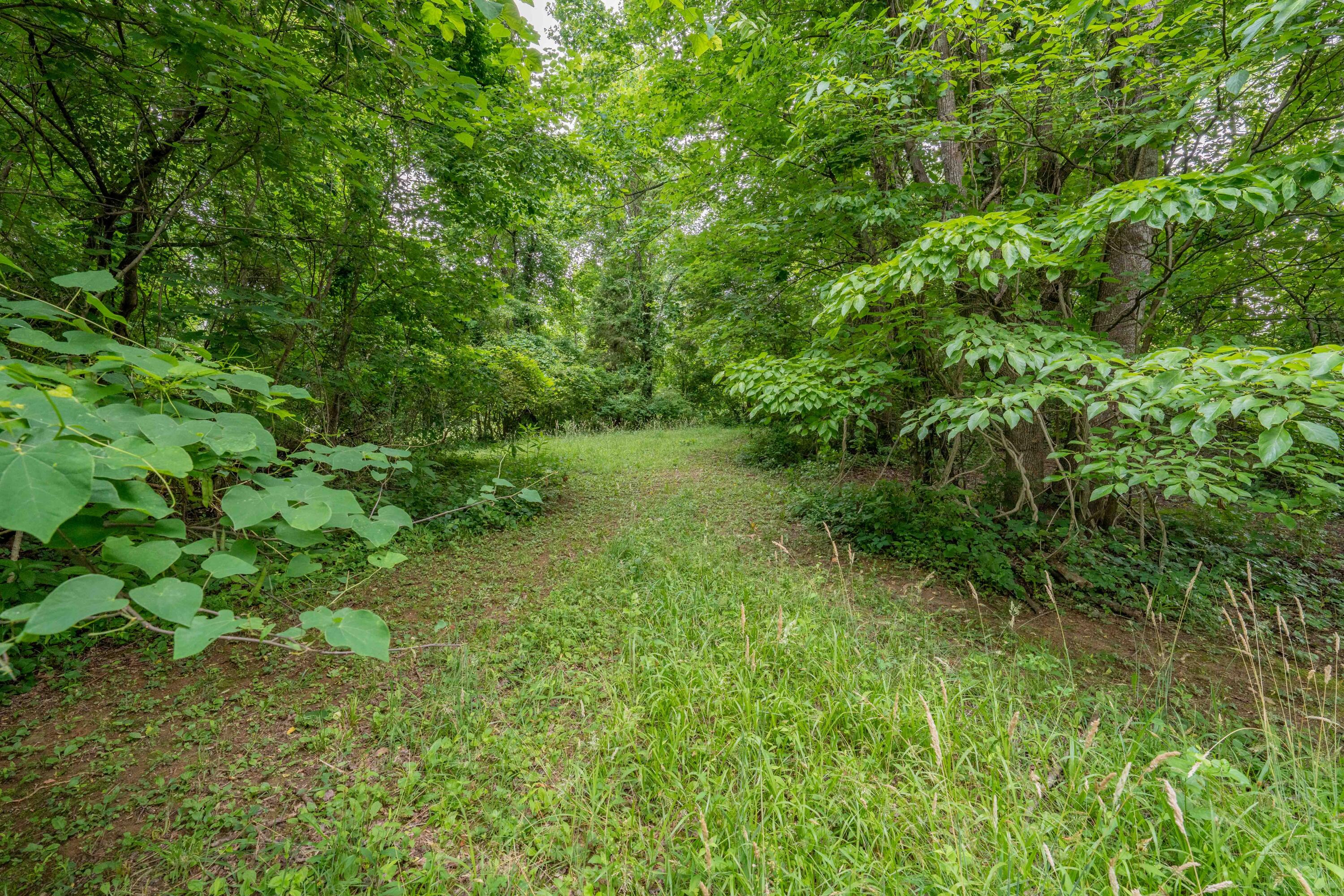Tbd Edgefield Road, Bristol, Tennessee image 31