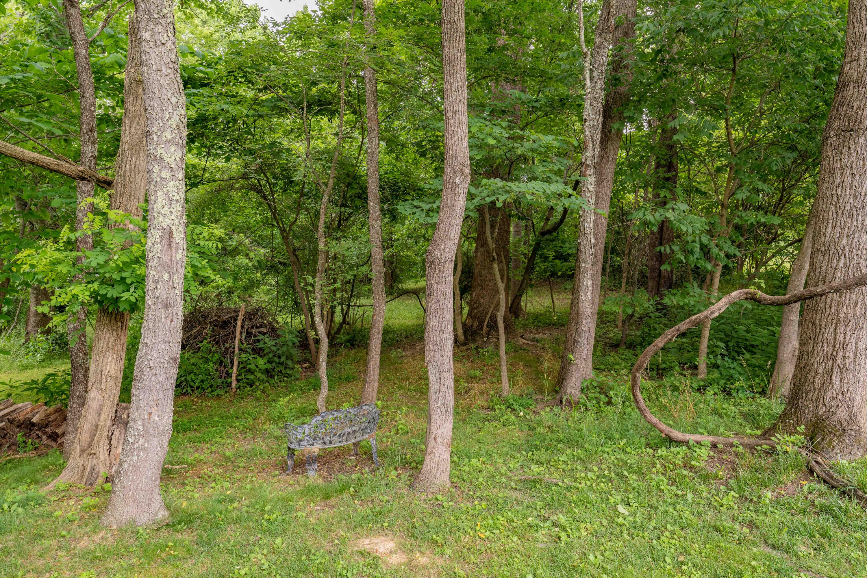 Tbd Edgefield Road, Bristol, Tennessee image 22