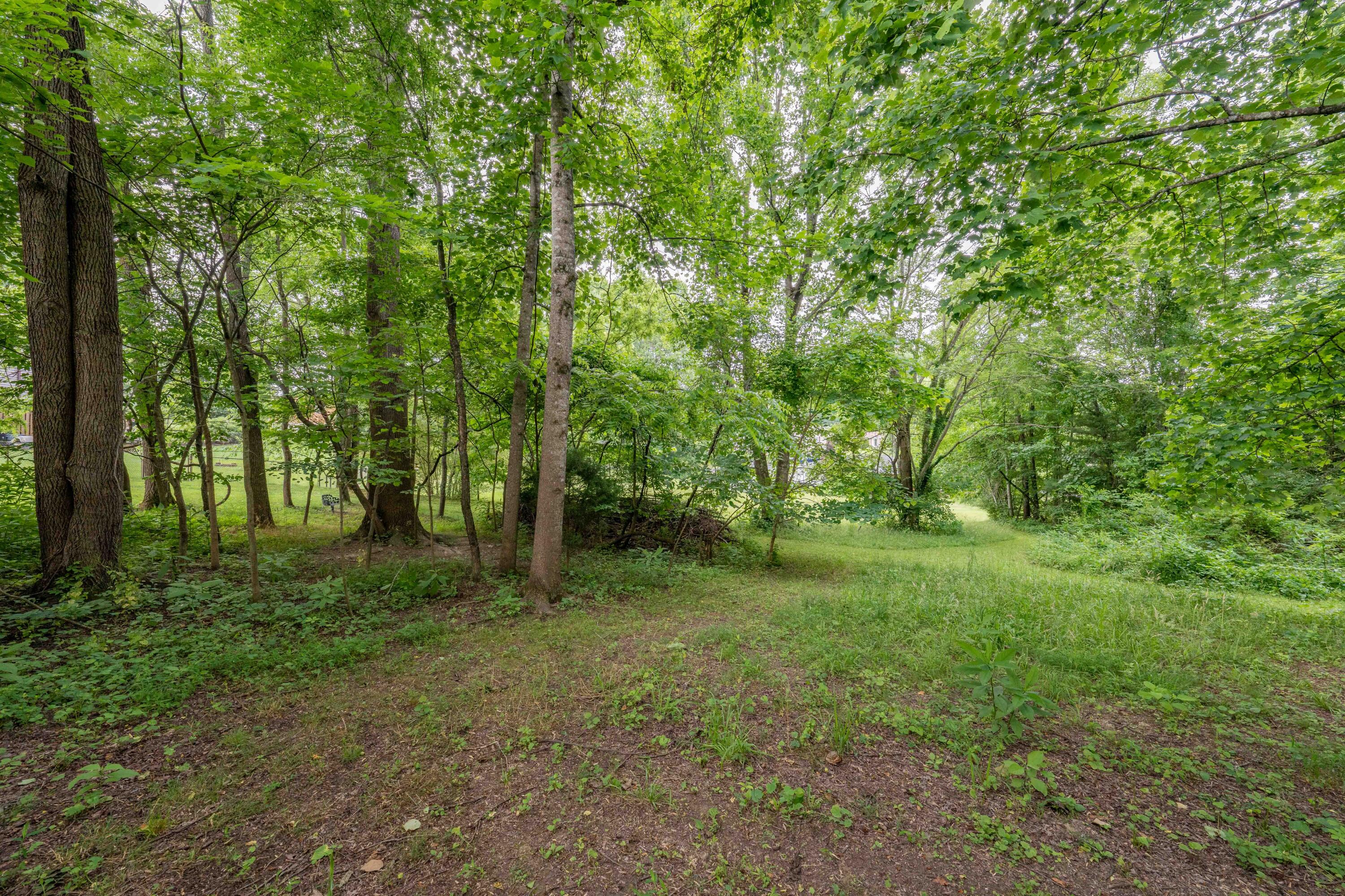 Tbd Edgefield Road, Bristol, Tennessee image 25