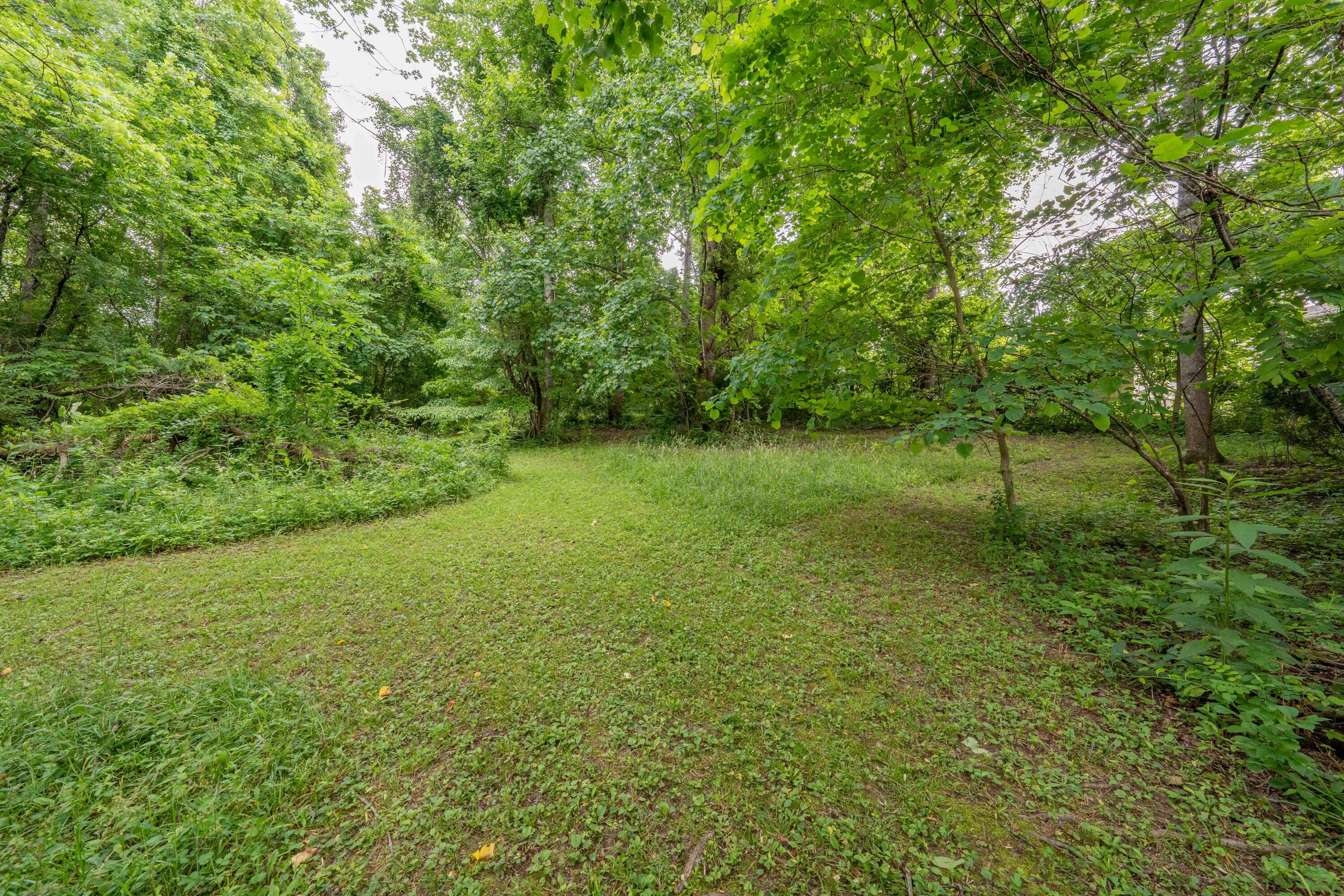 Tbd Edgefield Road, Bristol, Tennessee image 24