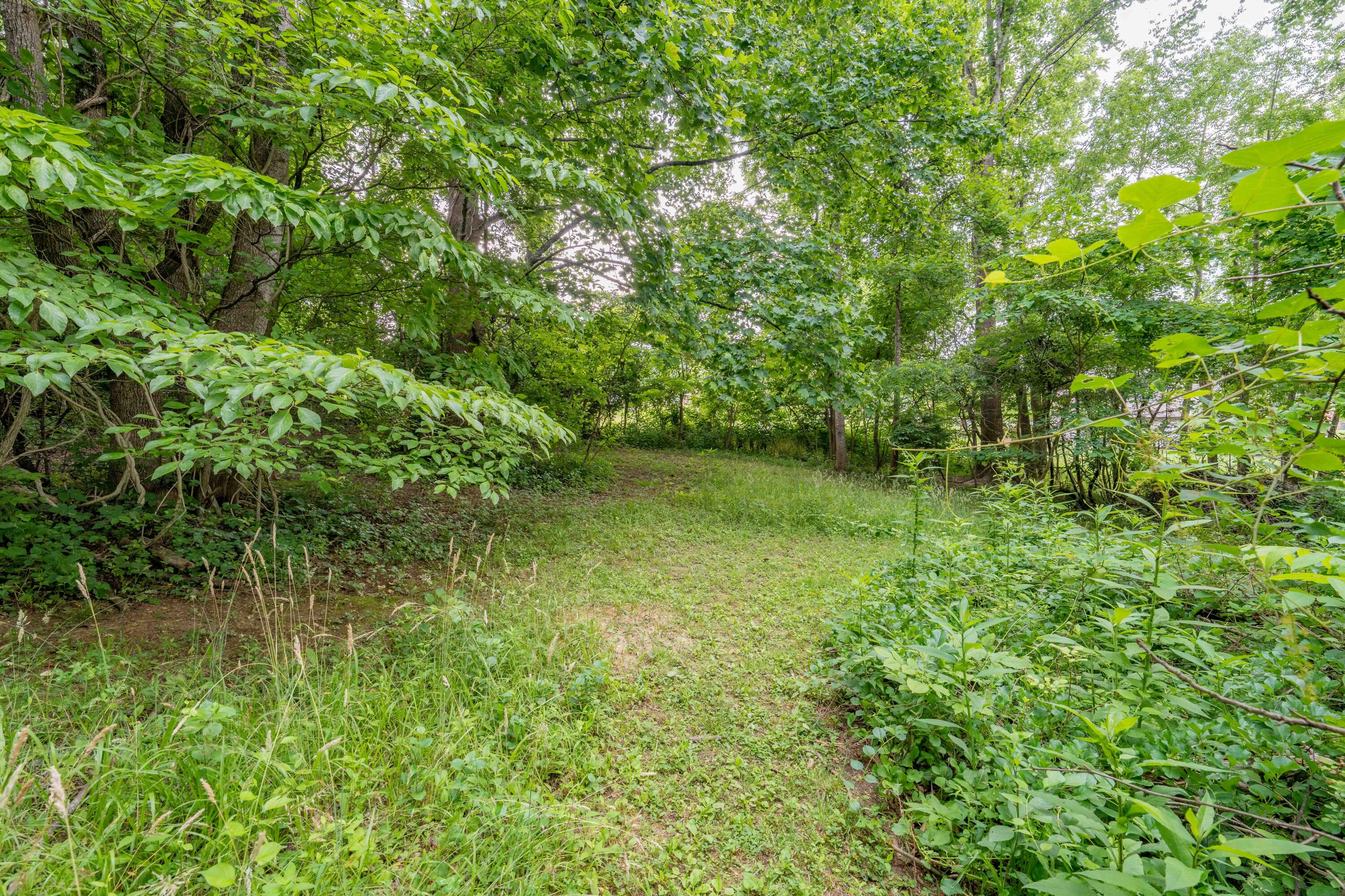 Tbd Edgefield Road, Bristol, Tennessee image 30