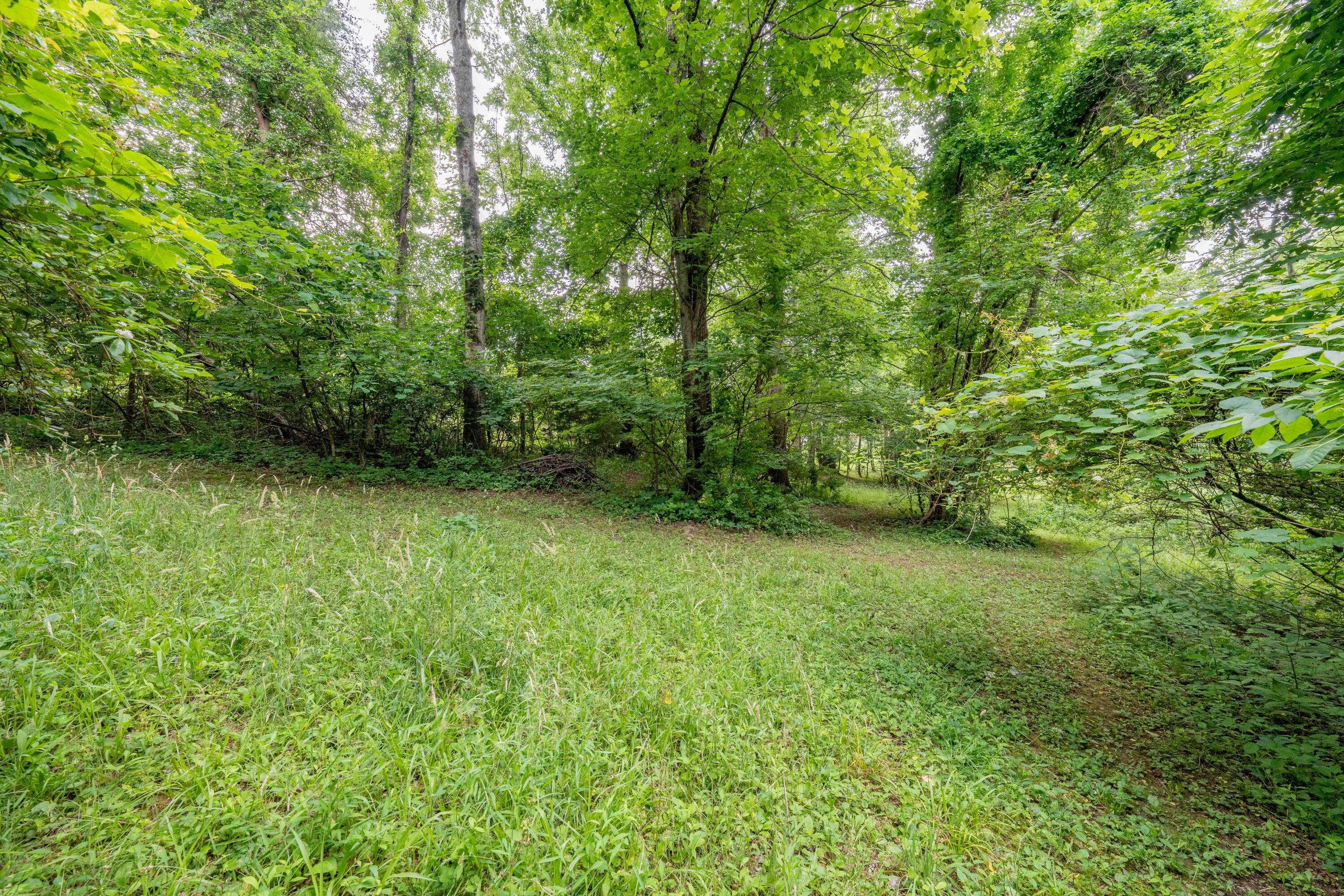 Tbd Edgefield Road, Bristol, Tennessee image 28
