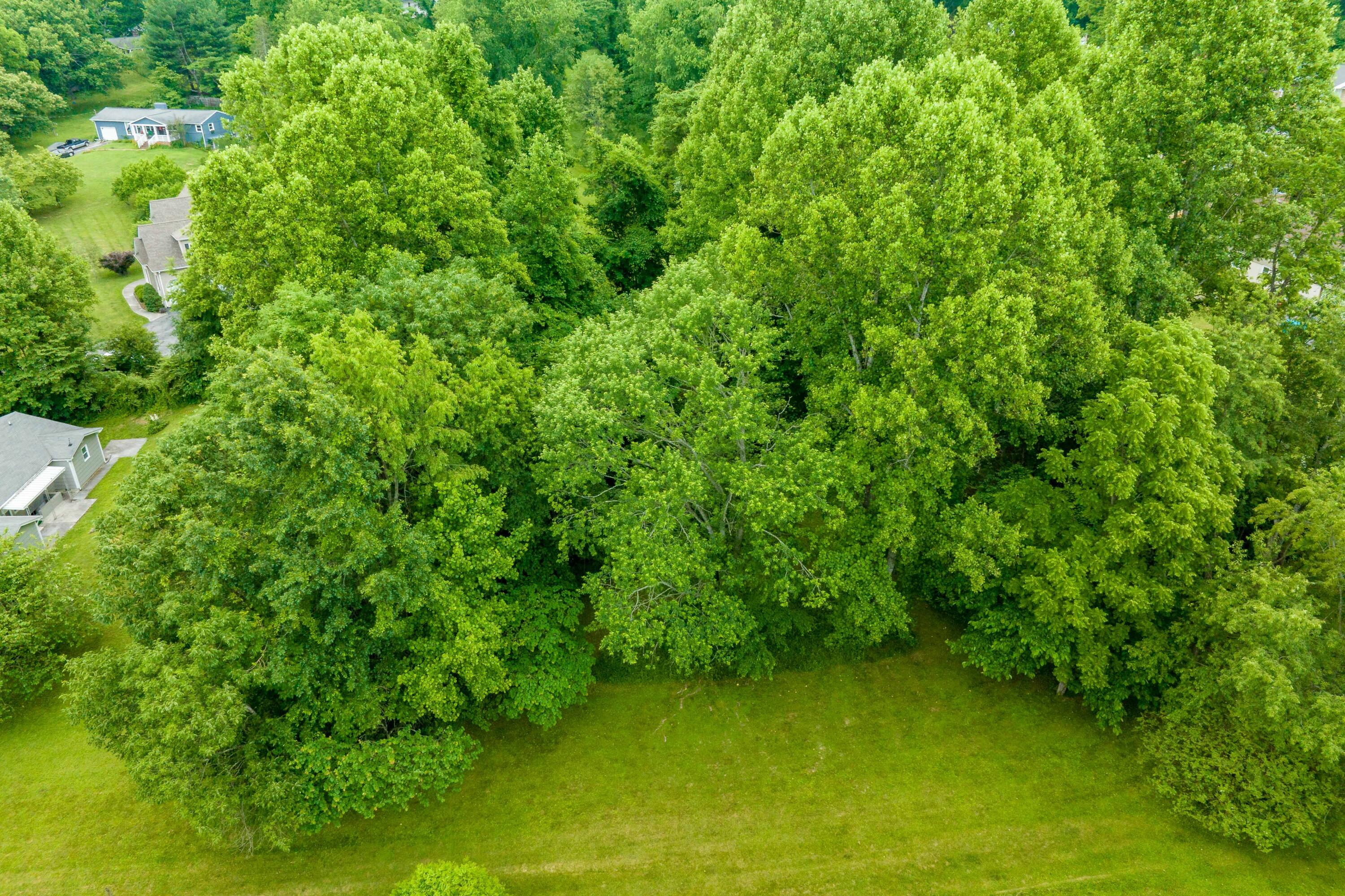 Tbd Edgefield Road, Bristol, Tennessee image 19
